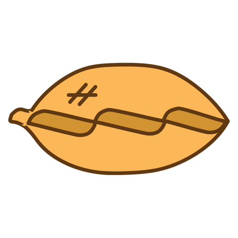 Chicken Empanada